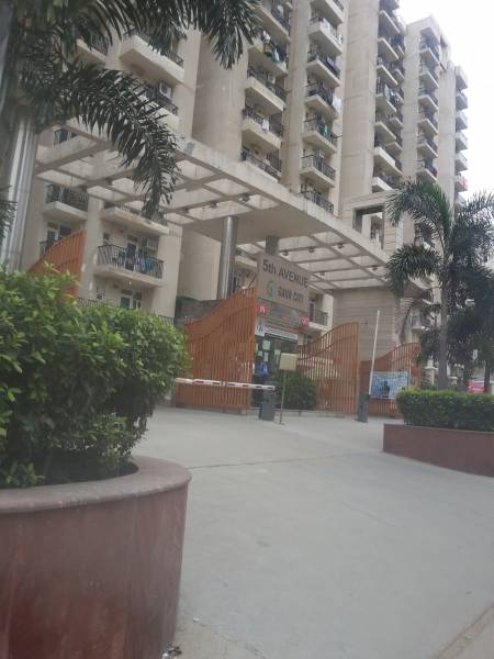  5th-avenue Images for Project