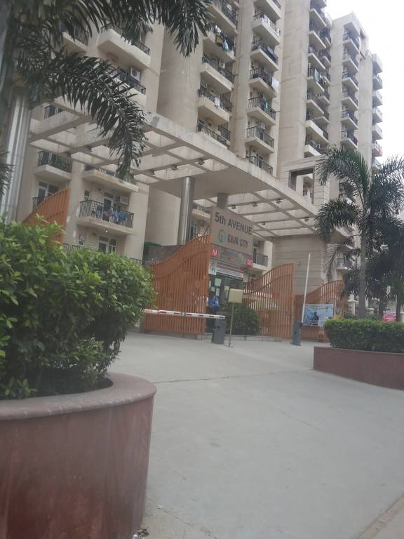  5th avenue Images for Project