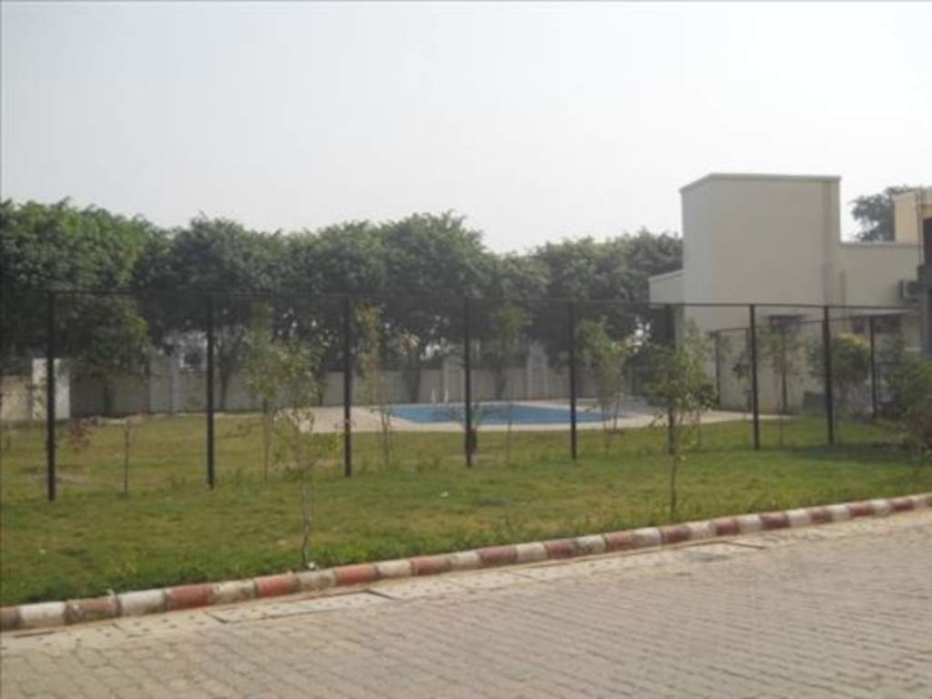 tanushree Landscape Garden and Tree Planting