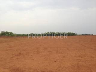 Project Image Project Image