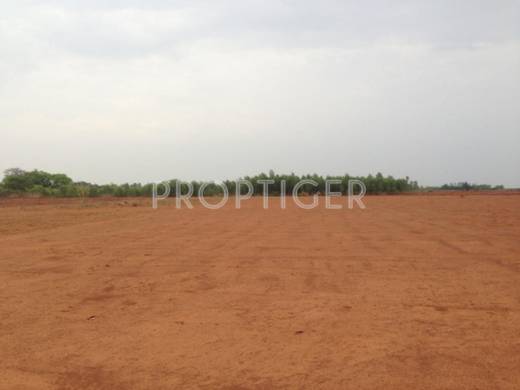 Images for Elevation of Transcity Trans Magnolia Images for Elevation of Transcity Trans Magnolia