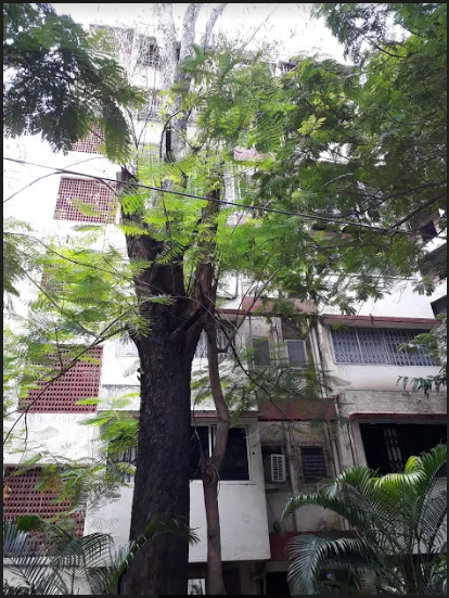  sandeep terrace Elevation