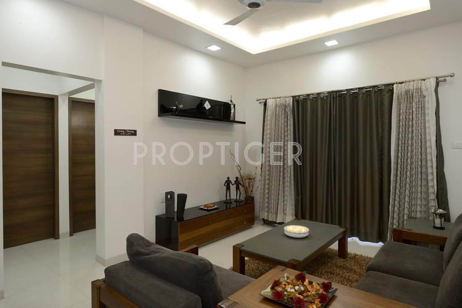  ela Images for Main Other of Anshul Ela