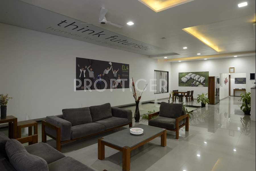  ela Images for Main Other of Anshul Ela