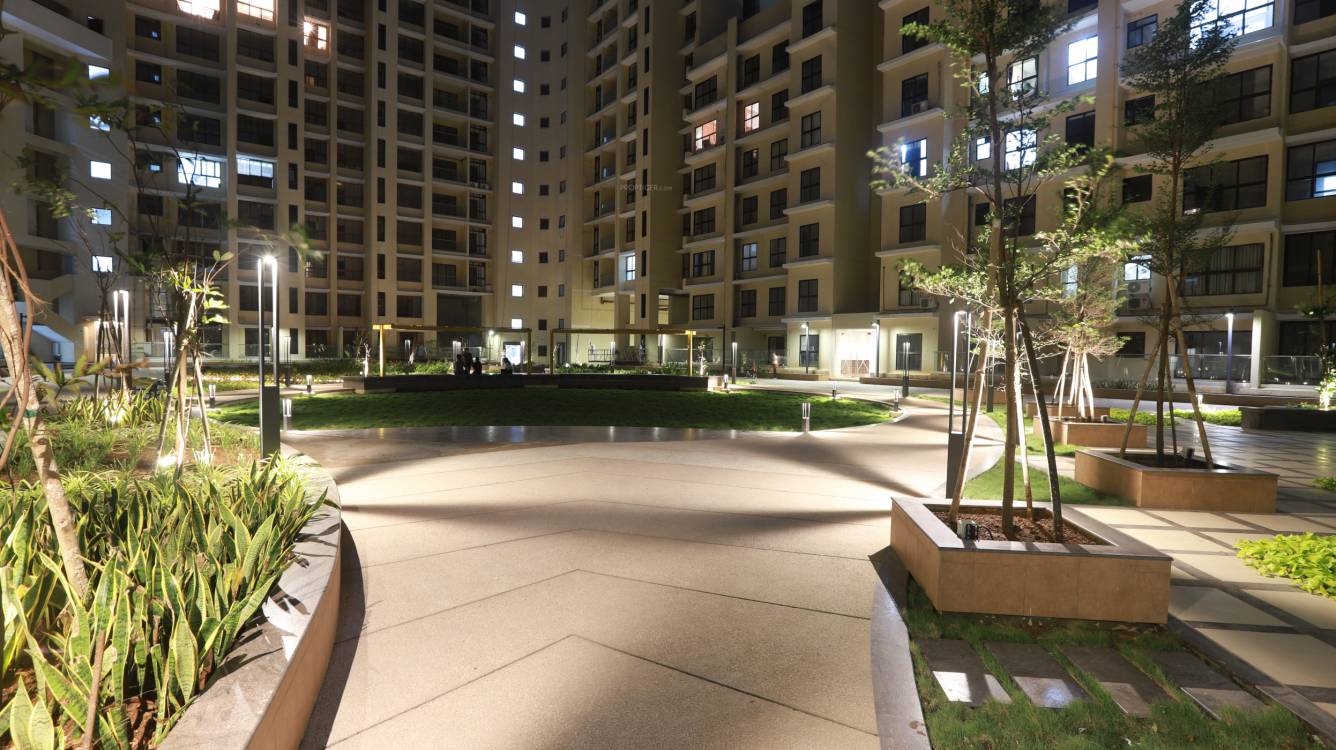 rivali park wintergreen Others