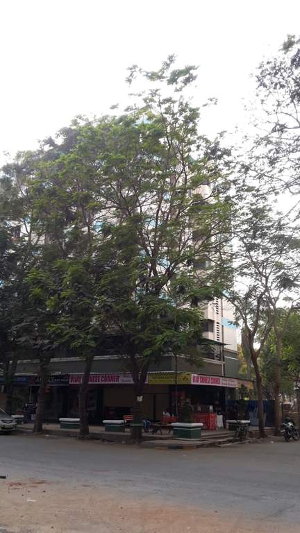  garden complex Images for Project