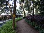  island-city-center Jogging Track