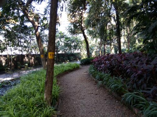 Jogging Track island-city-center Jogging Track