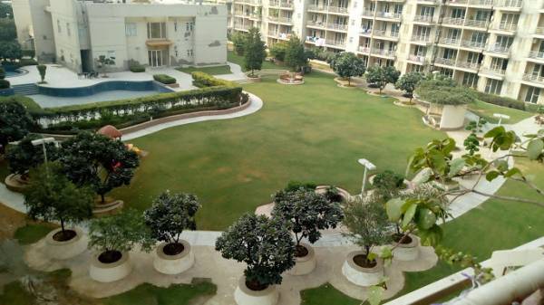  chloris Images for Project