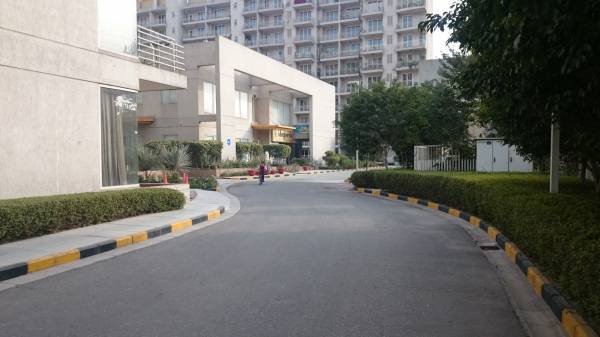  chloris Internal Roads & Footpaths