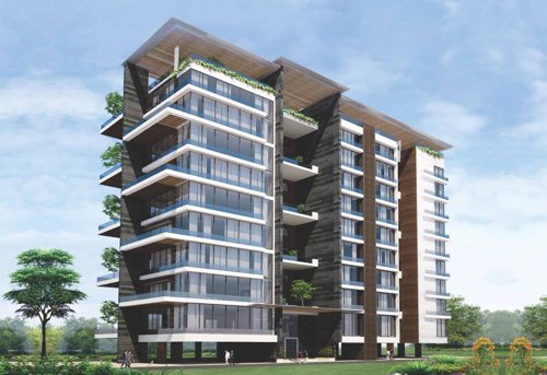 Images for Elevation of Supreme Adimaa Images for Elevation of Supreme Adimaa