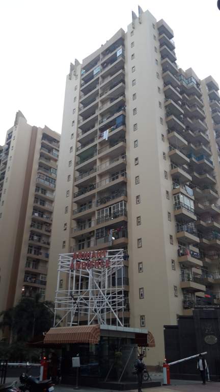  ambience Images for Project