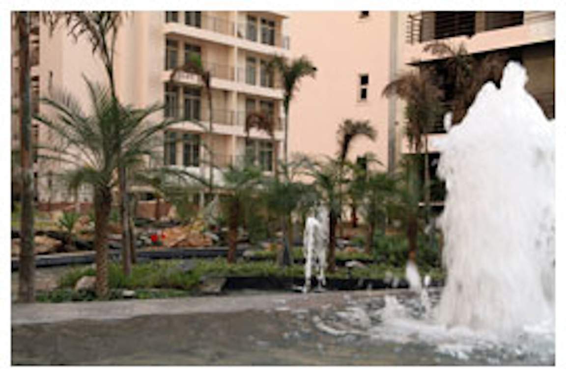  ambience Images for amenities