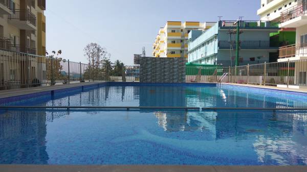  white-cliff Swimming Pool