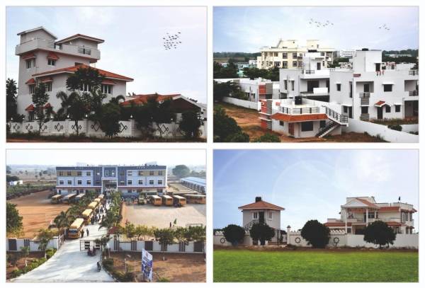  butterfly-city Elevation