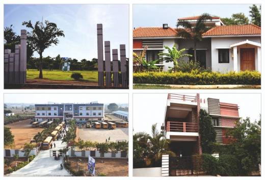 butterfly-city Elevation Elevation