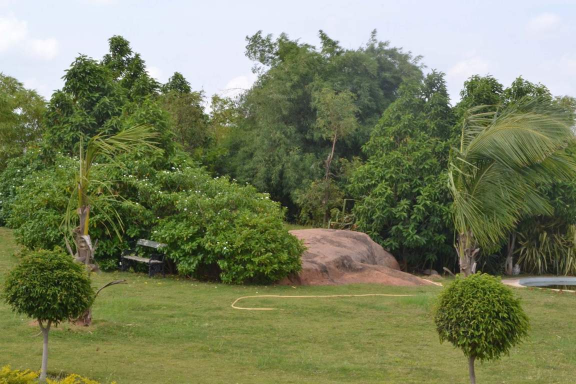  butterfly city Images for Amenities of Fortune Butterfly City