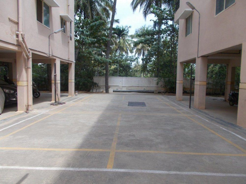  camellia elegant Badminton Court