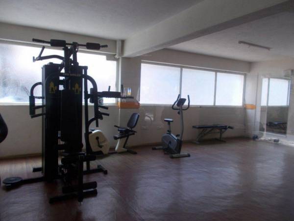  camellia-elegant Gymnasium