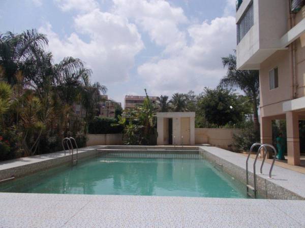  camellia-elegant Swimming Pool