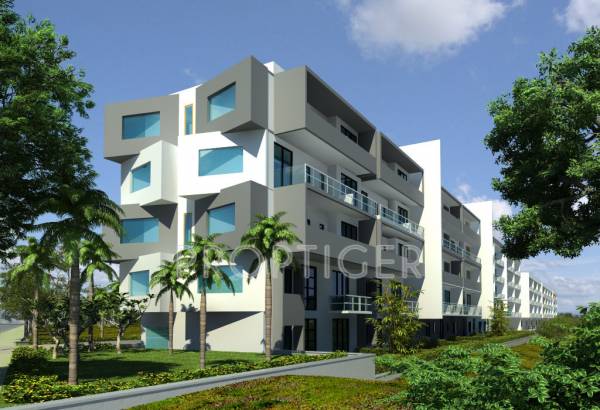 Images for Elevation of 80 Trees Images for Elevation of 80 Trees