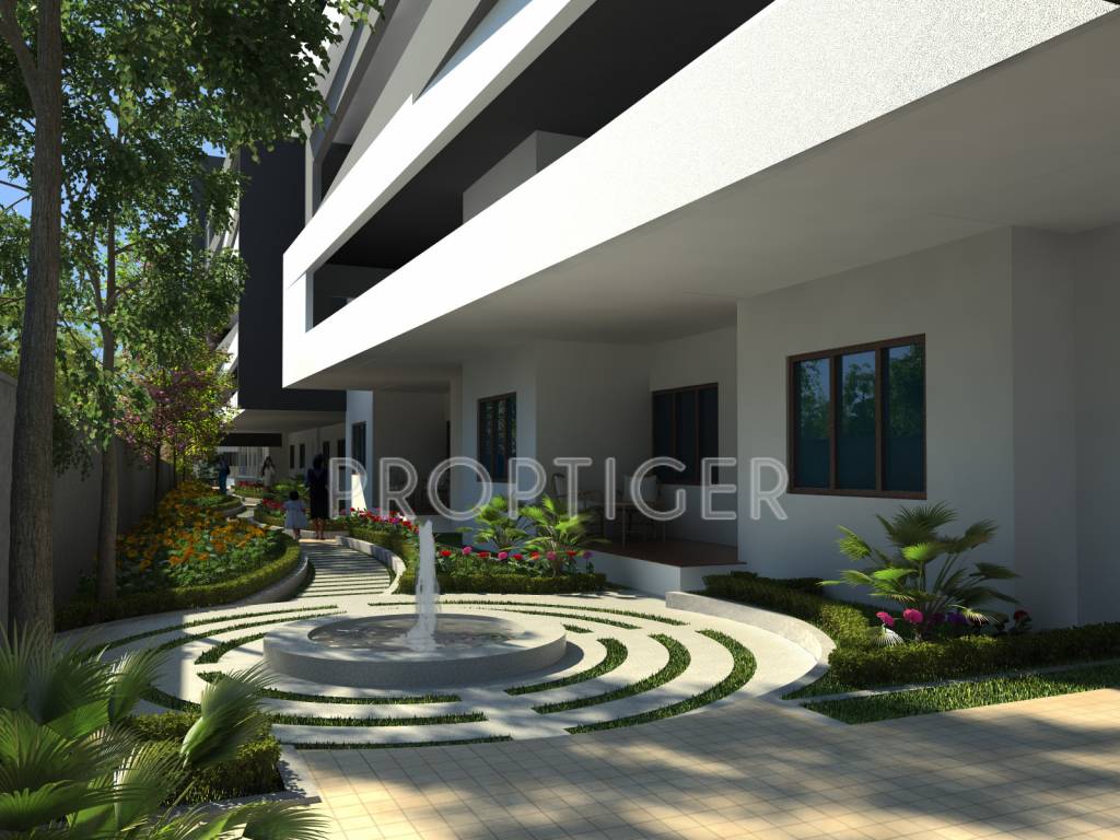 Images for Elevation of  80 Trees