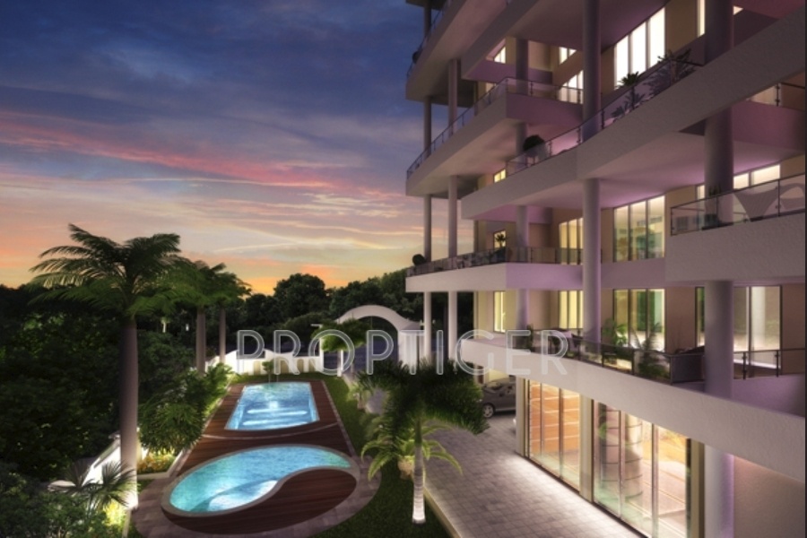 Images for Elevation of Darvesh Platina