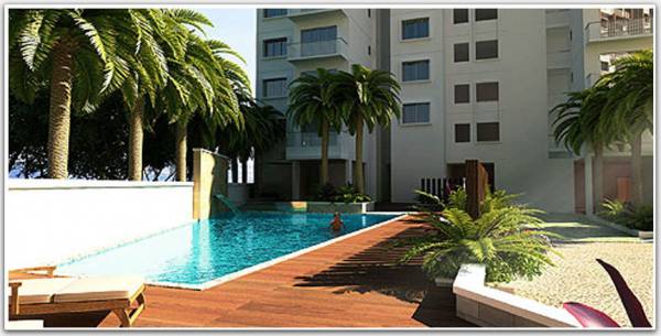 Swimming Pool greens Swimming Pool