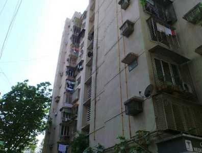  blue excellency Elevation