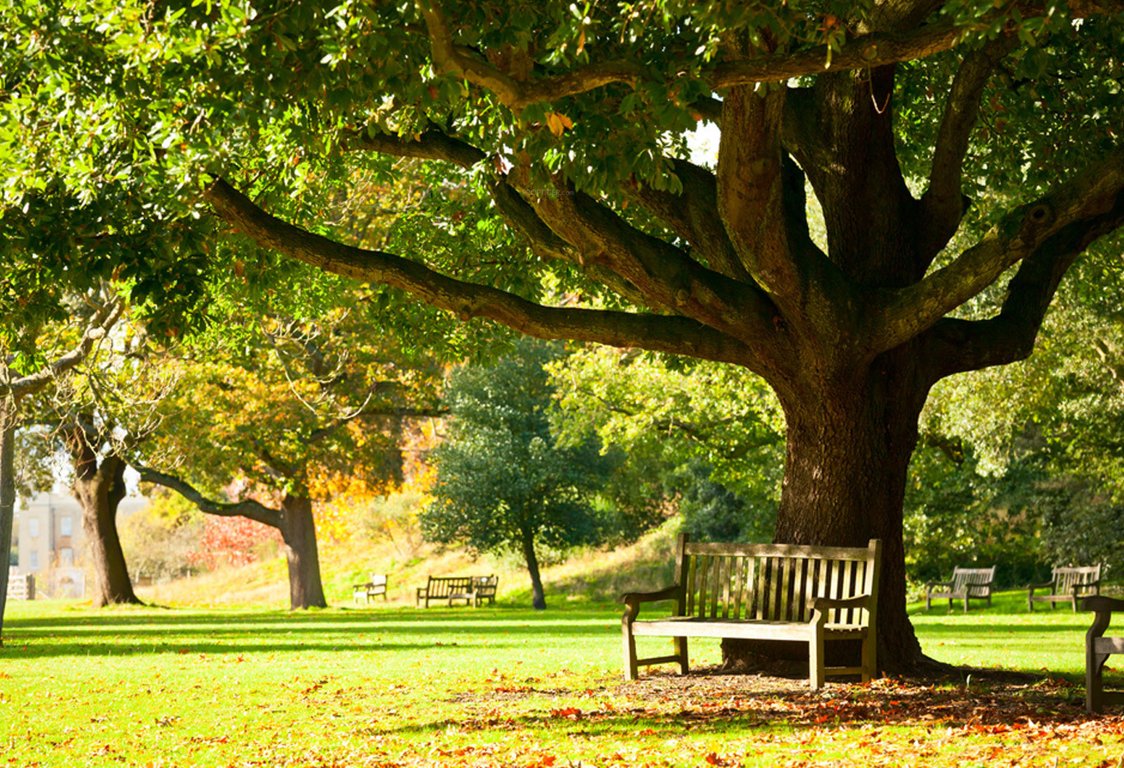 viva Images for Amenities of Raheja Viva