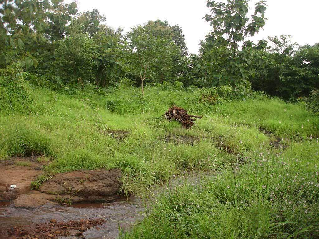 Images for Amenities of Disha Landmarc Silverscreen