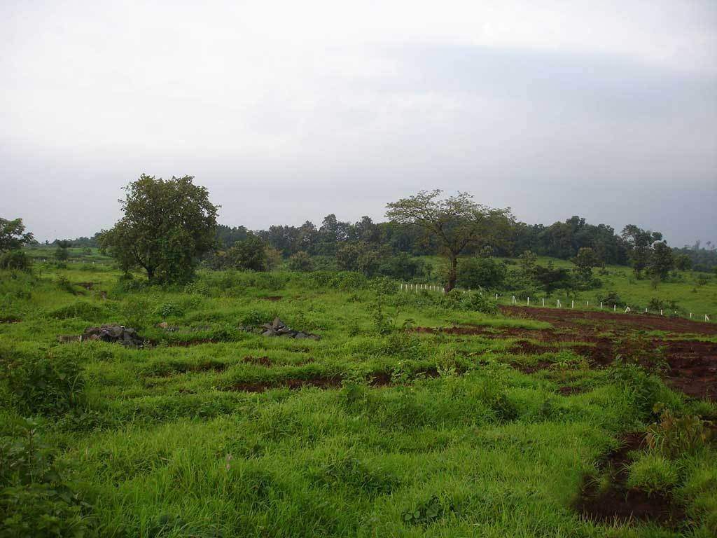 Images for Amenities of Disha Landmarc Silverscreen