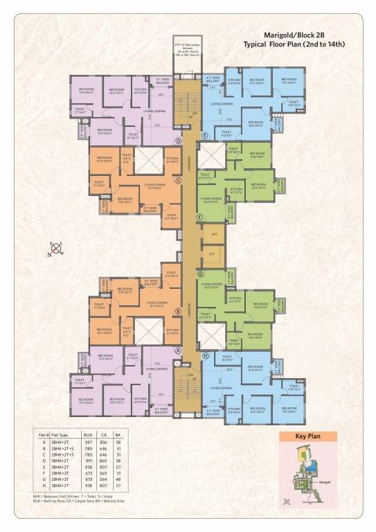  water front Daisy Cluster Plan