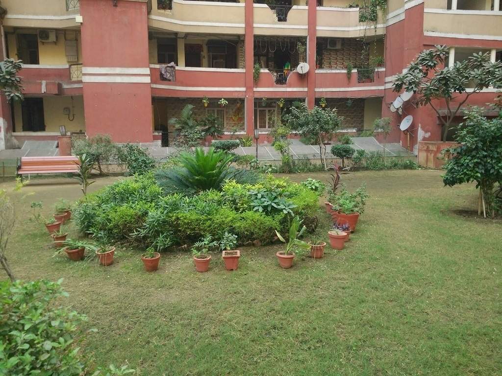  garden Landscape Garden and Tree Planting