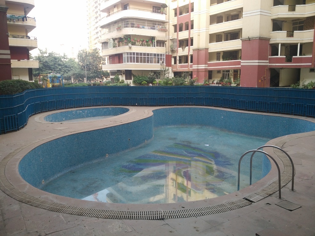  garden Swimming Pool