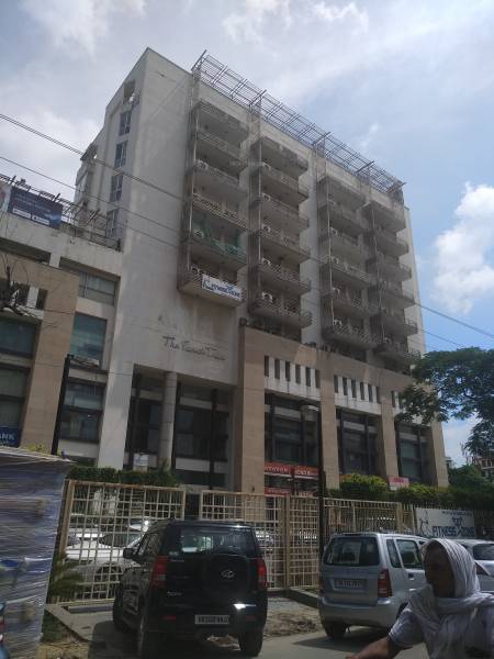 Images for Project the-peach-tree Images for Project