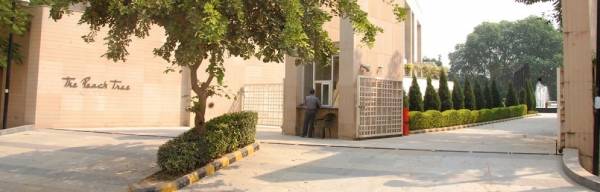 Gated Community the-peach-tree Gated Community