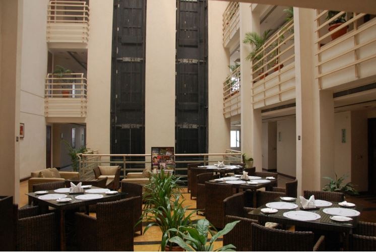  the peach tree Senior Citizen Sitout