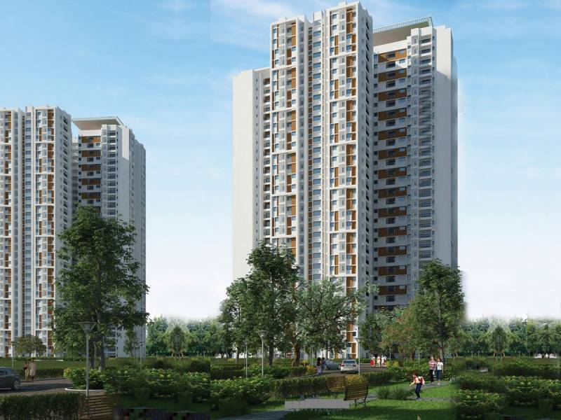  falcon-city Images for Elevation of Prestige Falcon City
