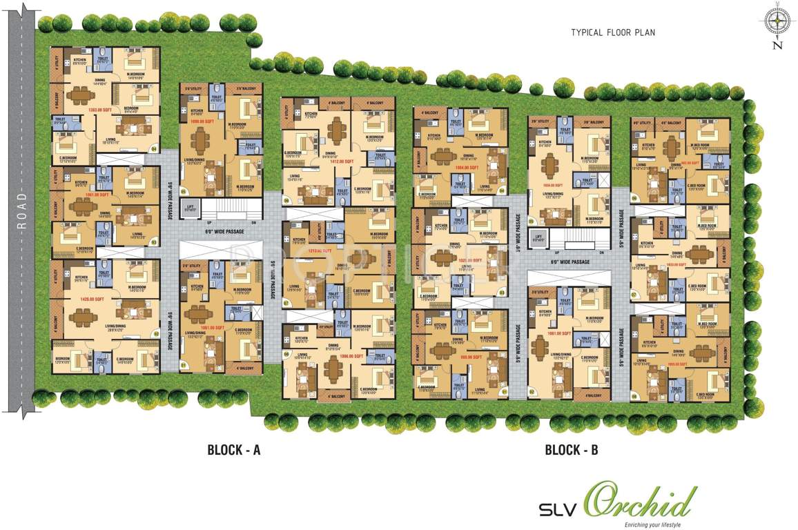  orchid Images for Cluster Plan of SLV Orchid