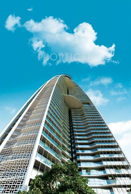 Images for Elevation of Brys Buzz