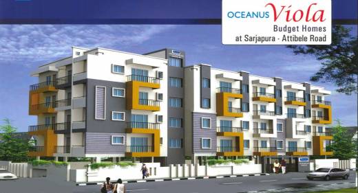 Images for Elevation of Oceanus Viola