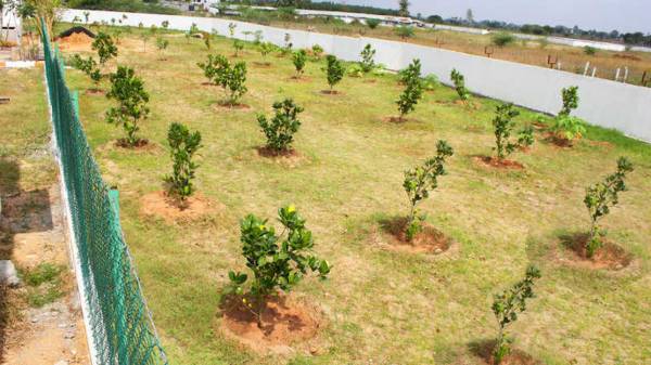 Elevation suncity-plots Elevation