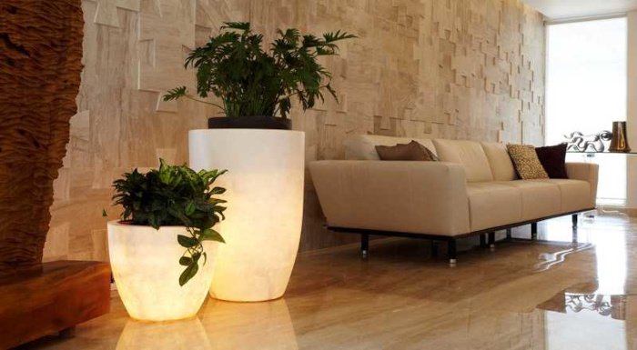  mystique Living Area