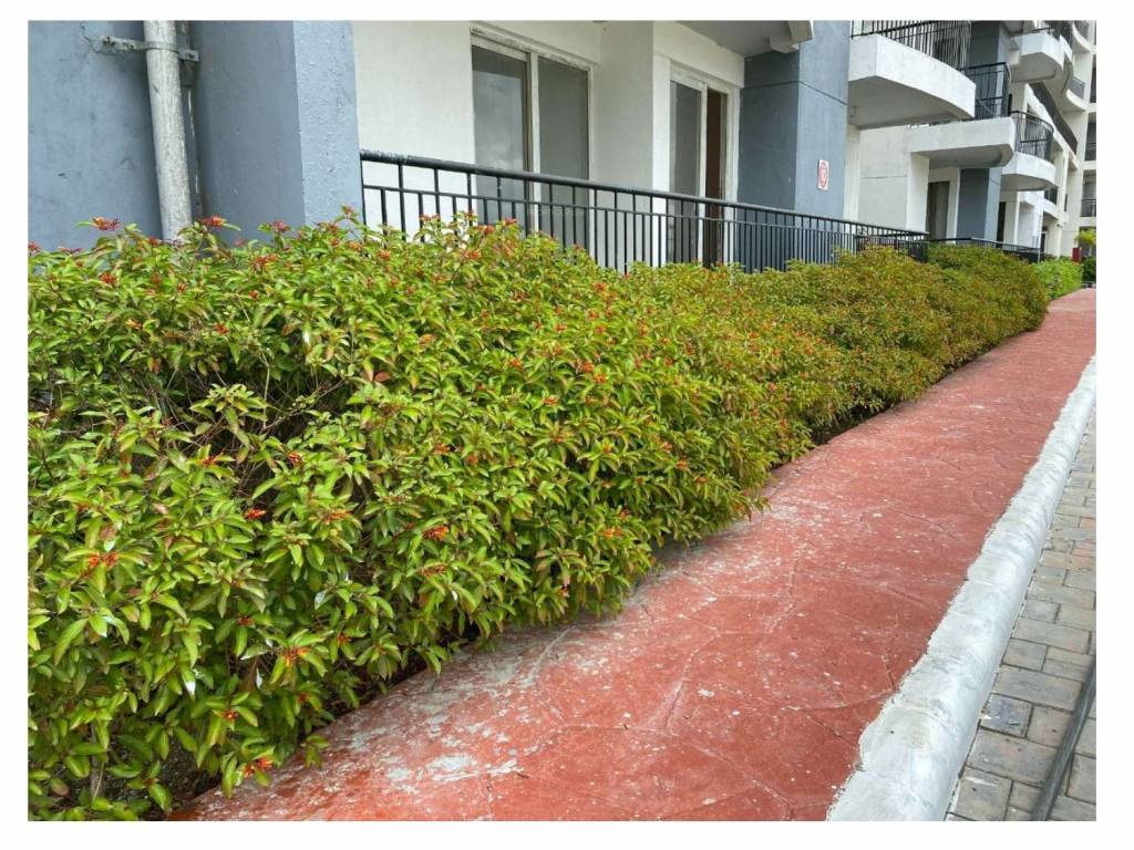  beetle lap Tower A Construction Status Sept 23