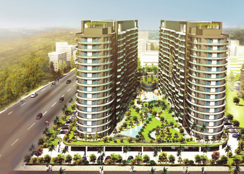  beetle lap Elevation