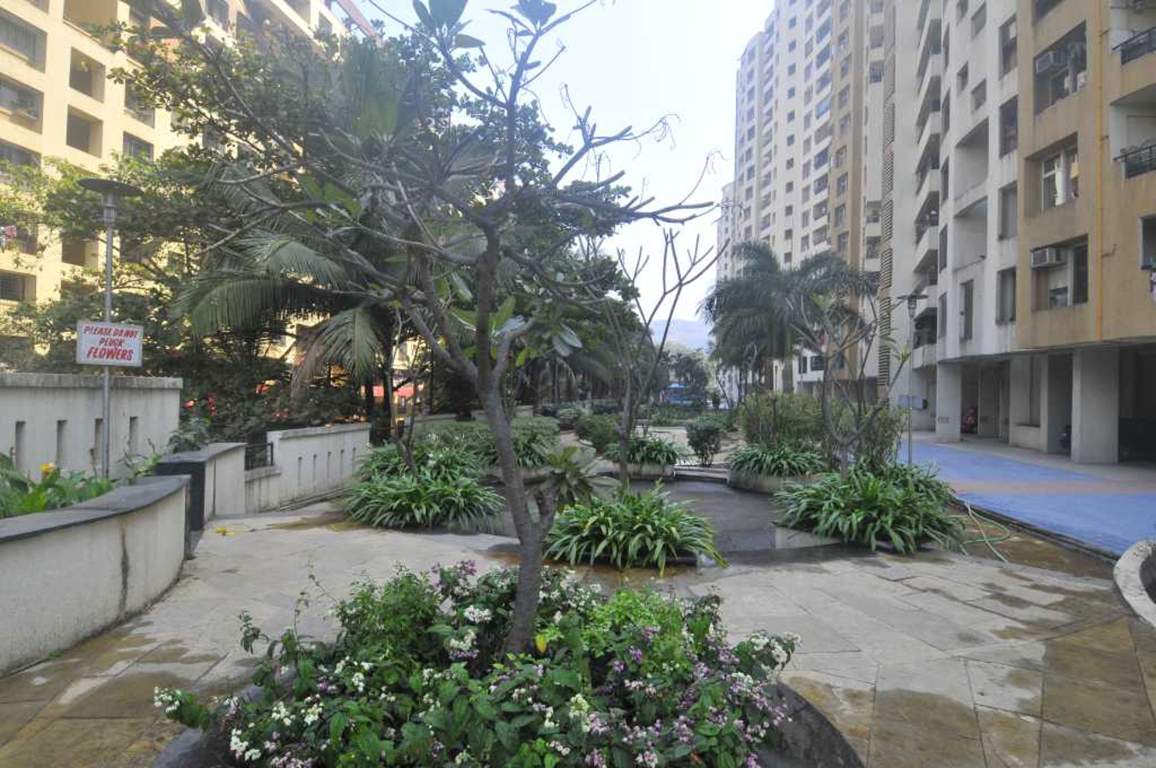  synchronicity Elevation