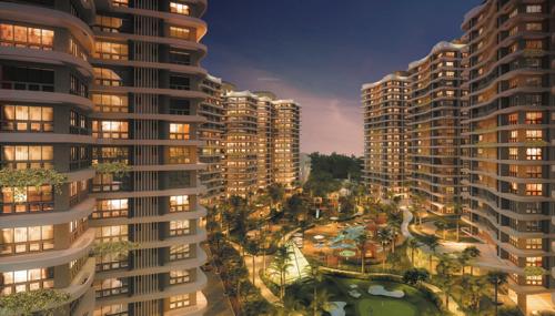 Images for Elevation of Mounthill The Rain Forest the-rain-forest Images for Elevation of Mounthill The Rain Forest