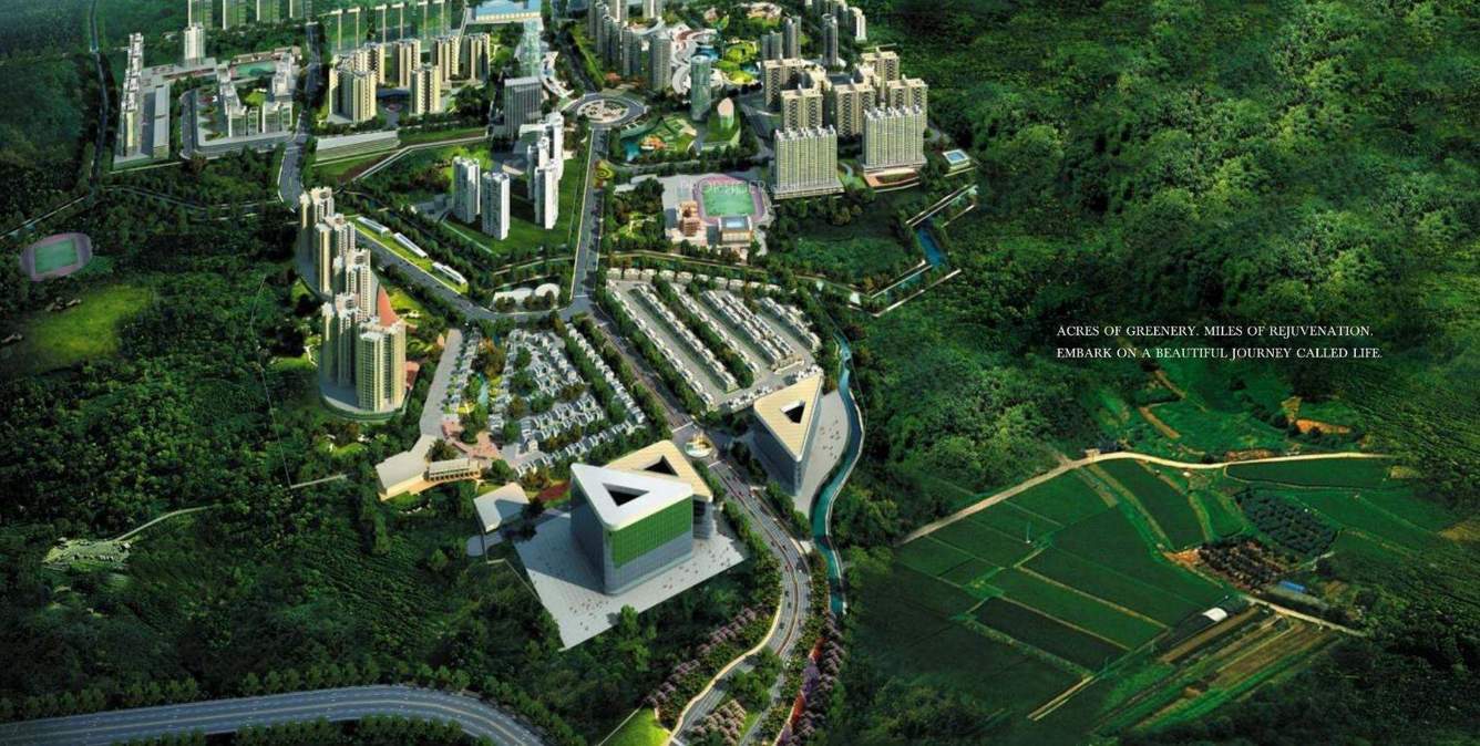  the rain forest Images for Elevation of Mounthill The Rain Forest