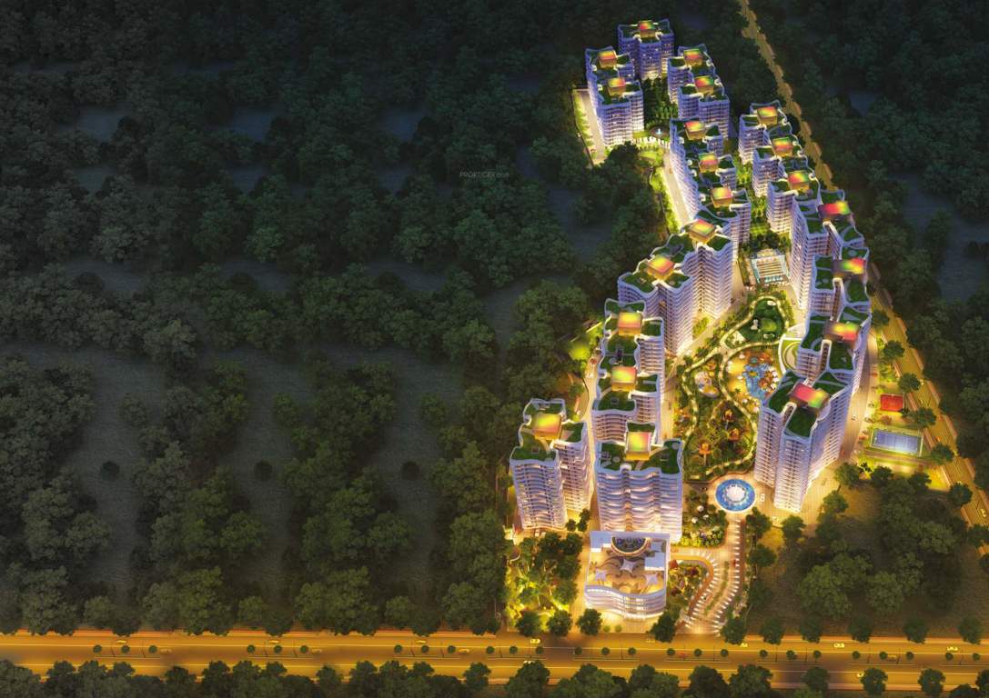  the rain forest Images for Elevation of Mounthill The Rain Forest